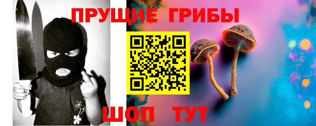 Альметьевск  Псилоцибиновые грибы мицелий  Вход с VPN  Галлюциногенные грибы MAGIC MUSHROOMS 