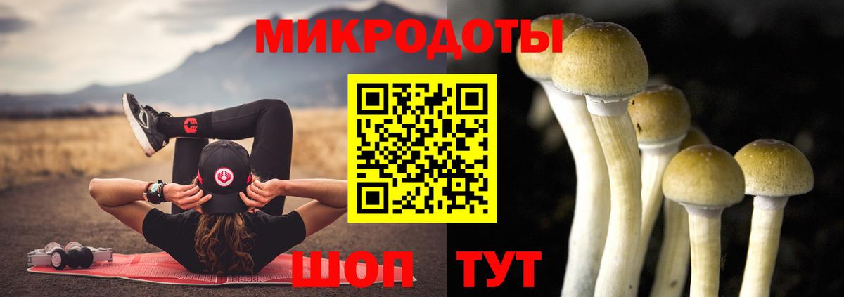 Галлюциногенные грибы прущие грибы Альметьевск